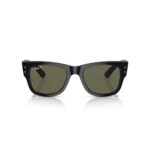 Ray-Ban RB0840S