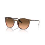 Ray-Ban RB2204 - Image 4